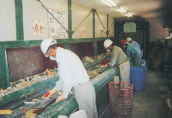 ラインの手選別